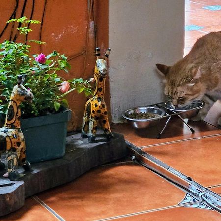 Hotel Casa Del Cerro アンティグア・グアテマラ エクステリア 写真