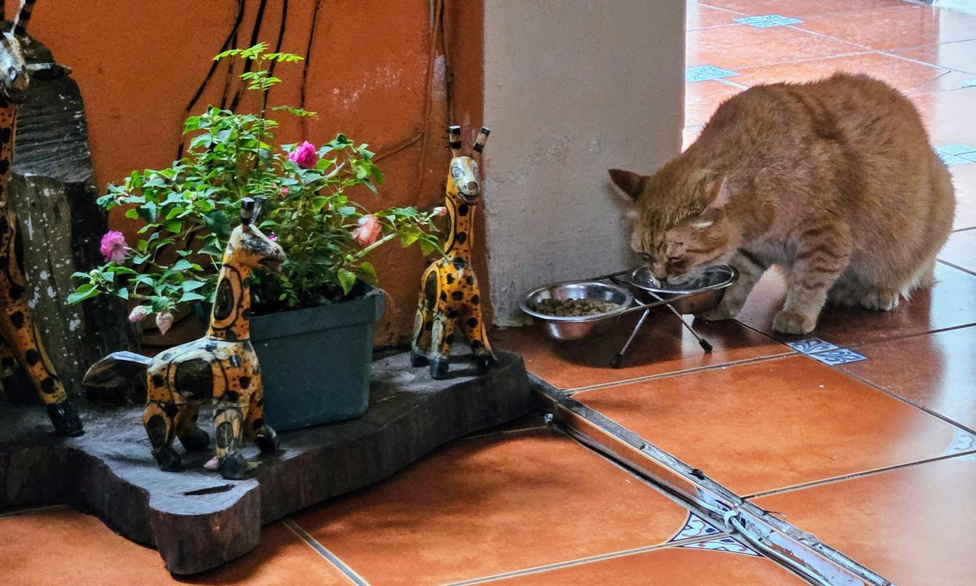 Hotel Casa Del Cerro アンティグア・グアテマラ エクステリア 写真